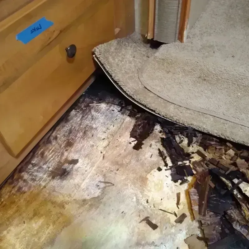 Wood Floor Water Damage in Butler Beach, FL